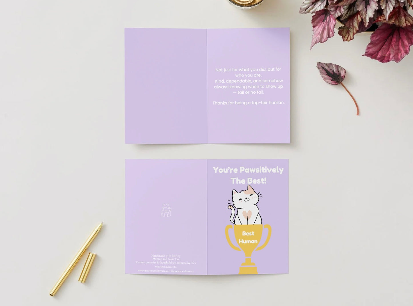 “You’re Pawsitively the Best!” – Cute Cat Appreciation Card