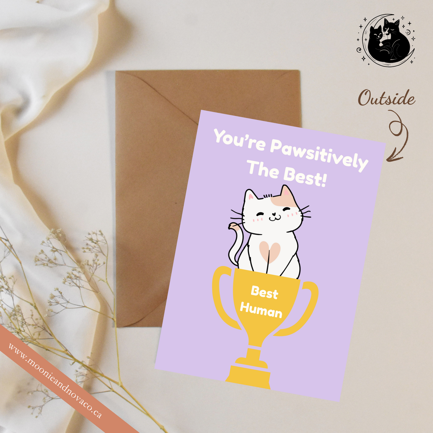 “You’re Pawsitively the Best!” – Cute Cat Appreciation Card