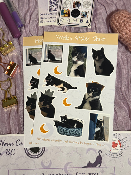 Custom Pet Sticker Sheet