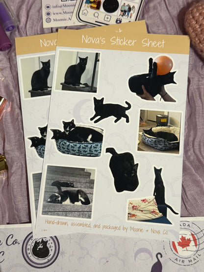 Custom Pet Sticker Sheet