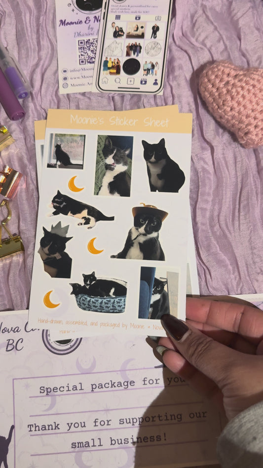 Moonie's Sticker Sheet